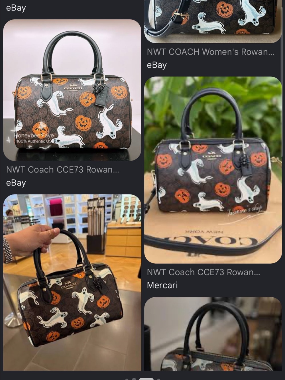 ISO the Coach Halloween rowan satchel